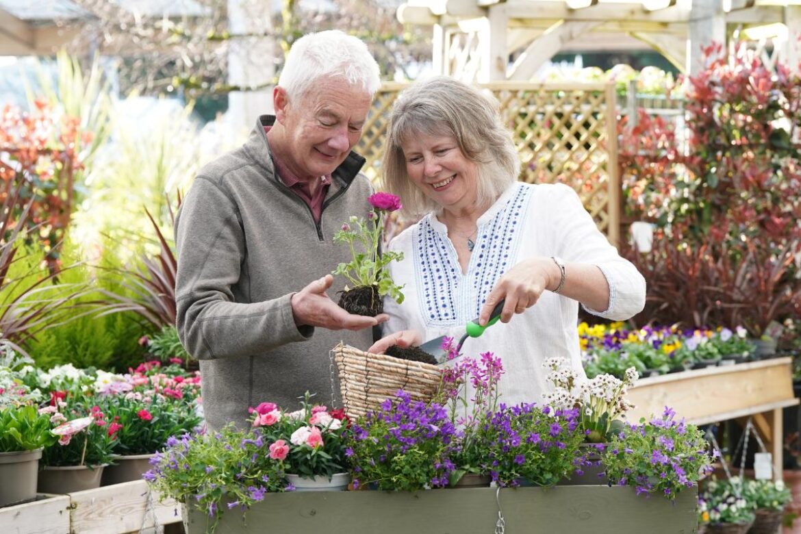 Hampshire garden centre to host hanging basket workshop Hampshire garden centre to host hanging basket workshop