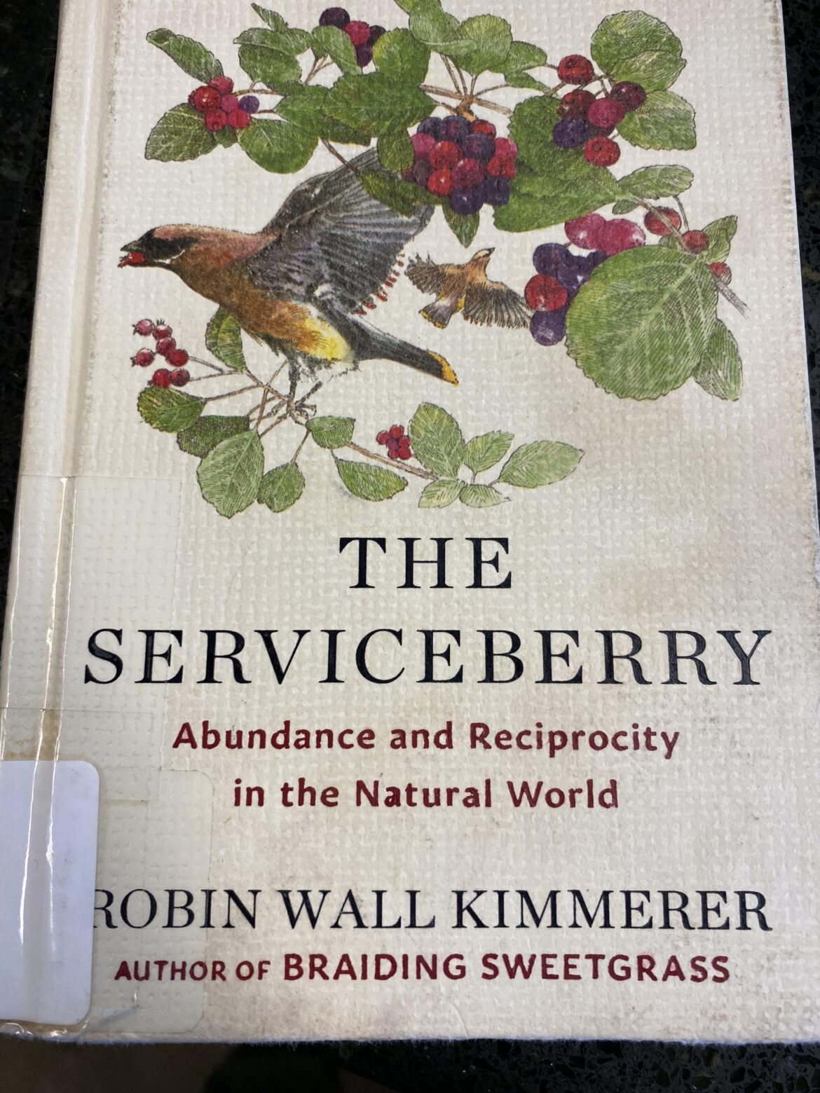 Serviceberry in Austin?