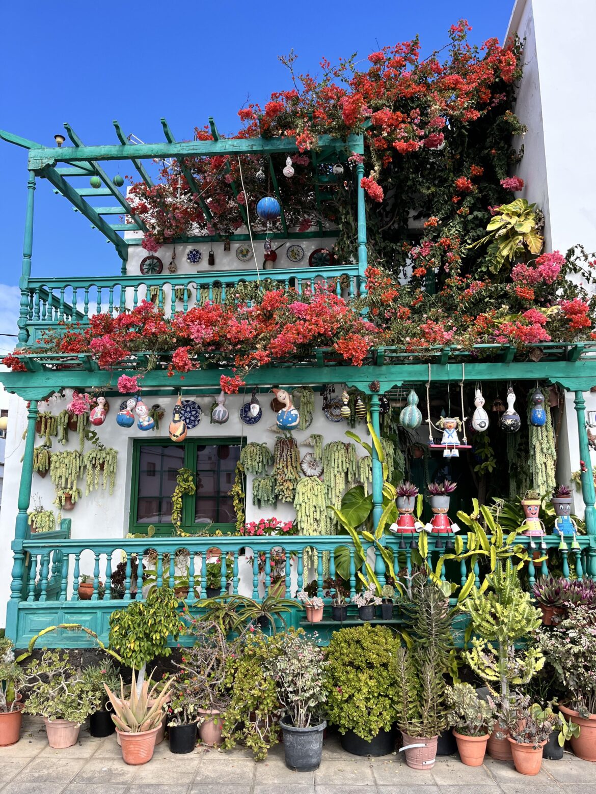 Beautiful plant house on Lanzarote