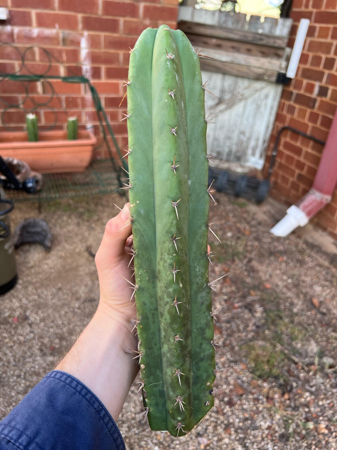 Any Ideas?