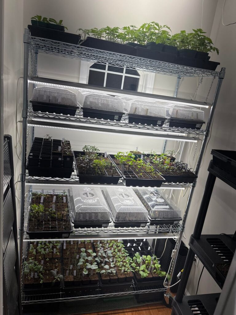 How am I doing? (Wannabe Market Gardener) How am I doing? (Wannabe Market Gardener)
