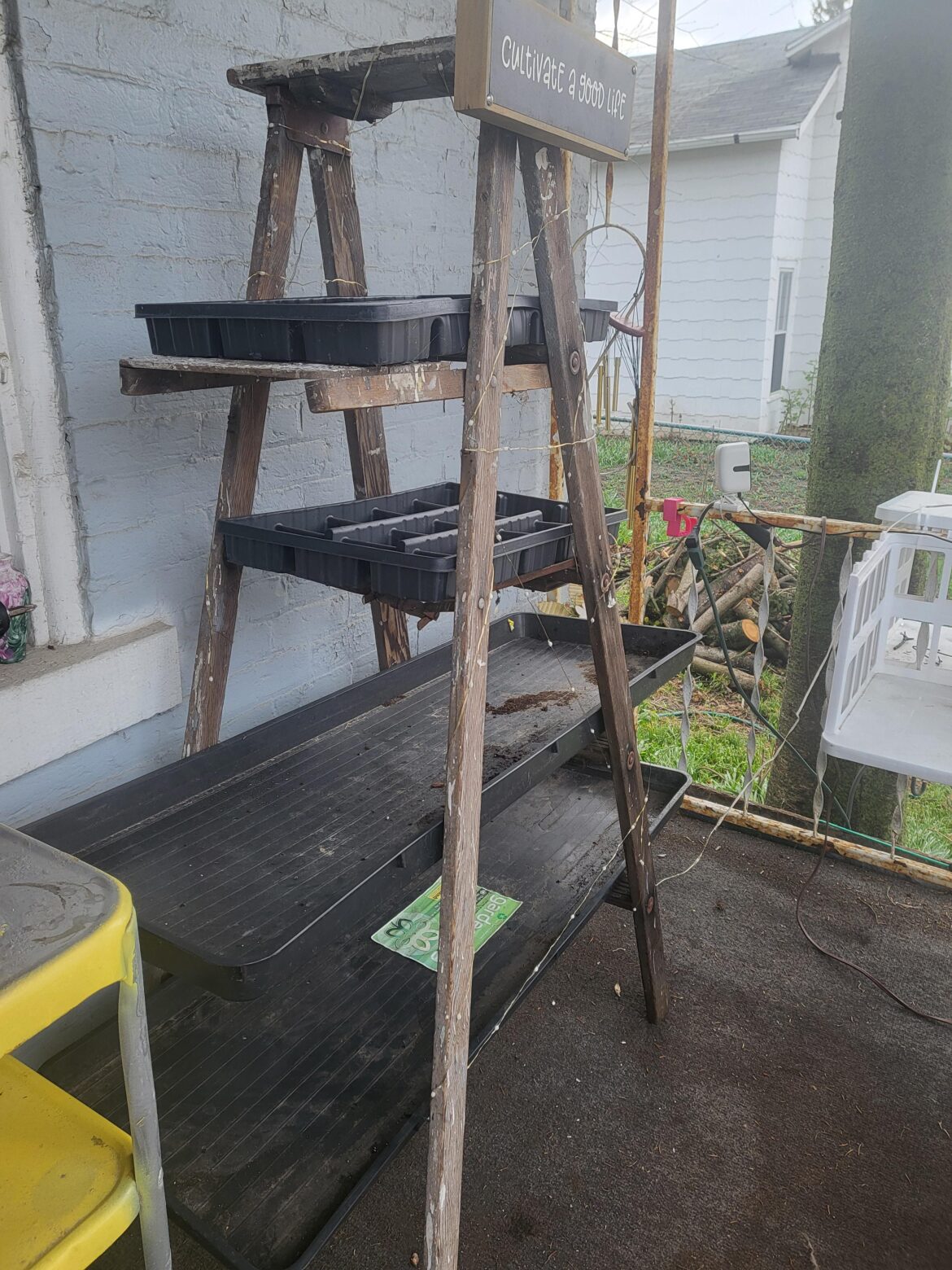 Plant stand from an old ladder