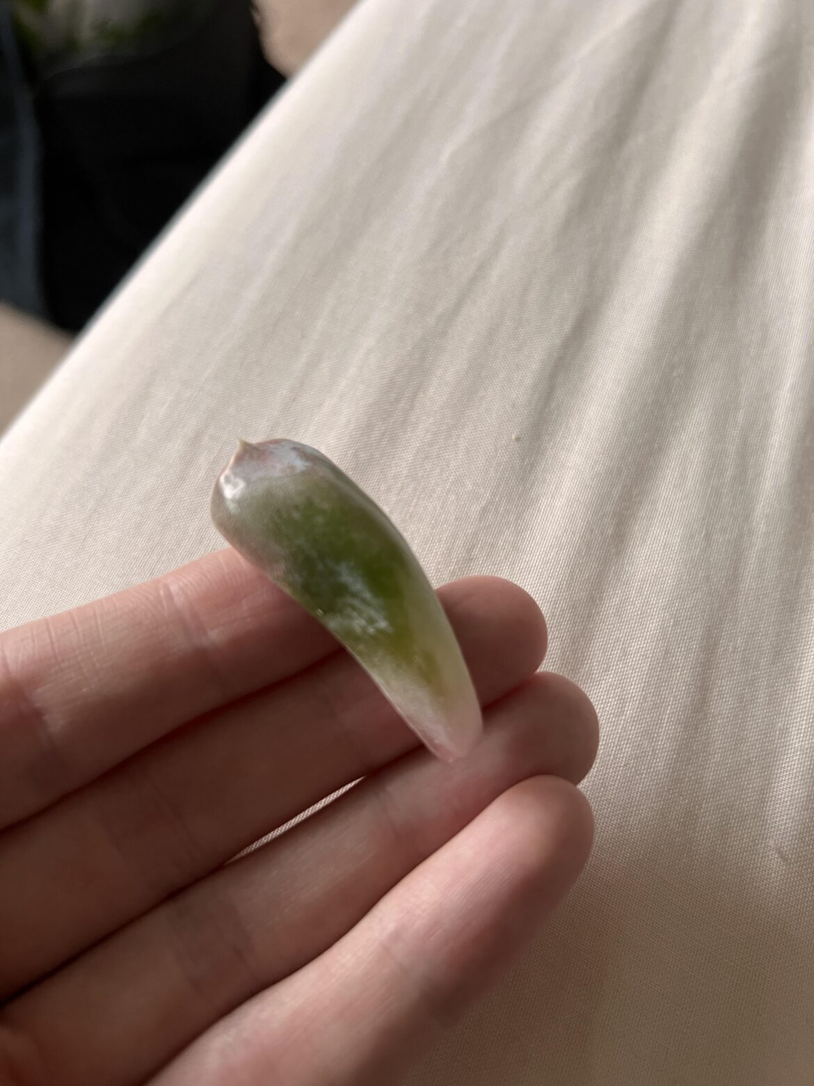 How would I propagate this?