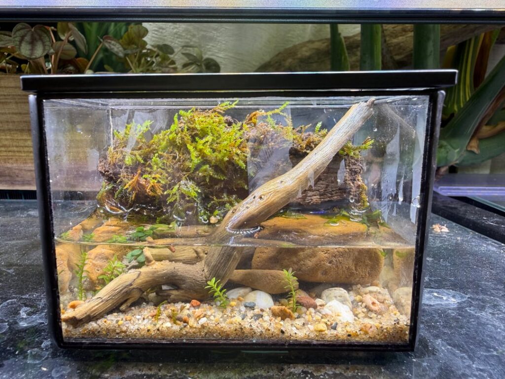 Mini Scape