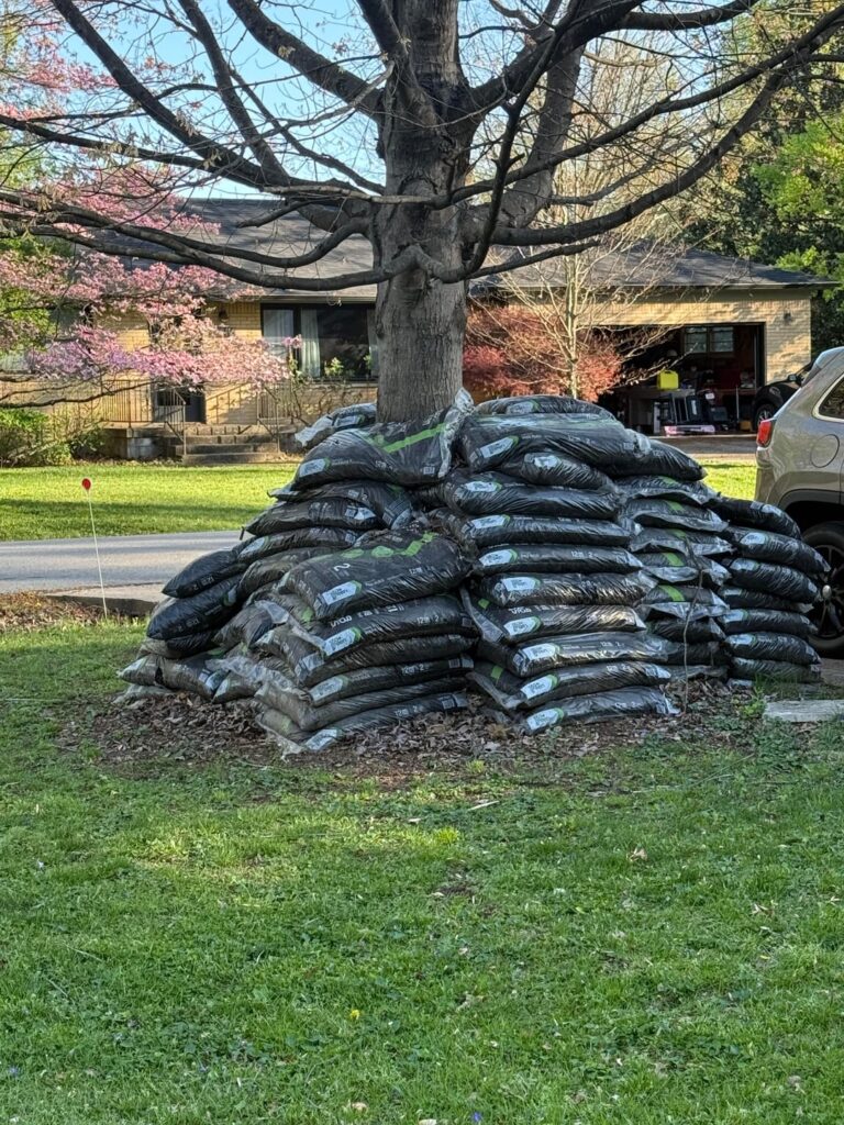 Is my neighbor killing this tree? Is my neighbor killing this tree?