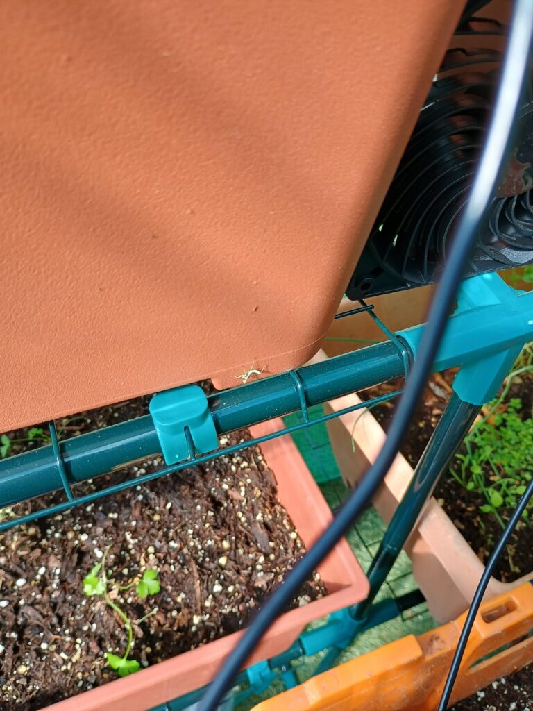 My little friend found everyday somewhere