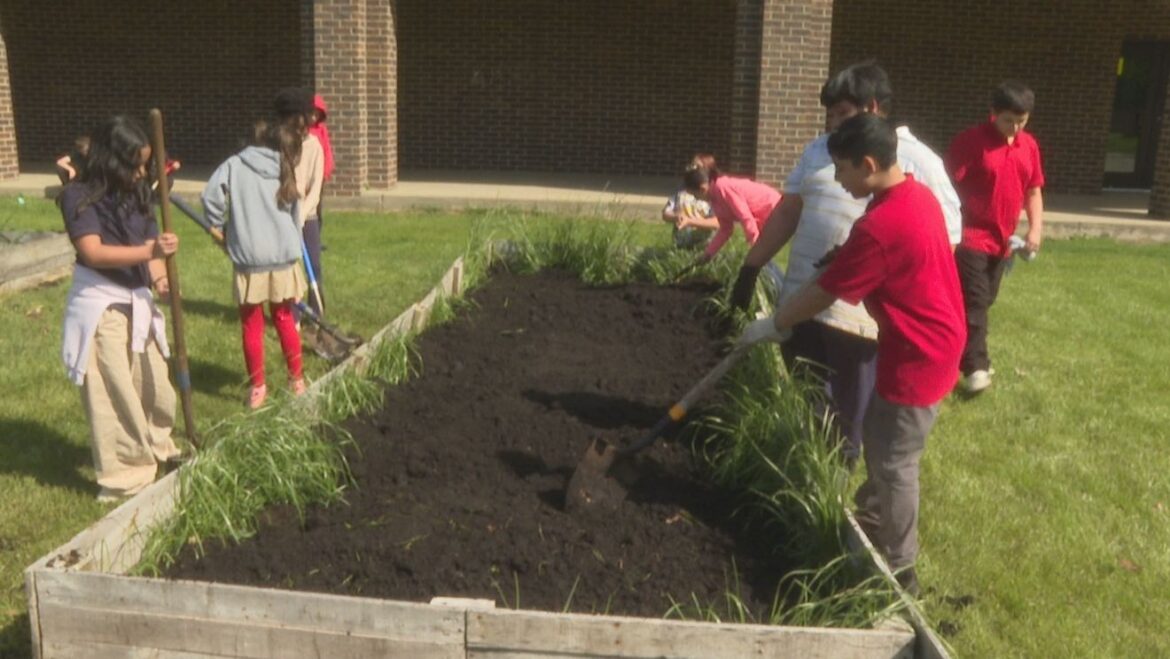 Unity Gardens helps Clay International Academy students plant an orchard station icon