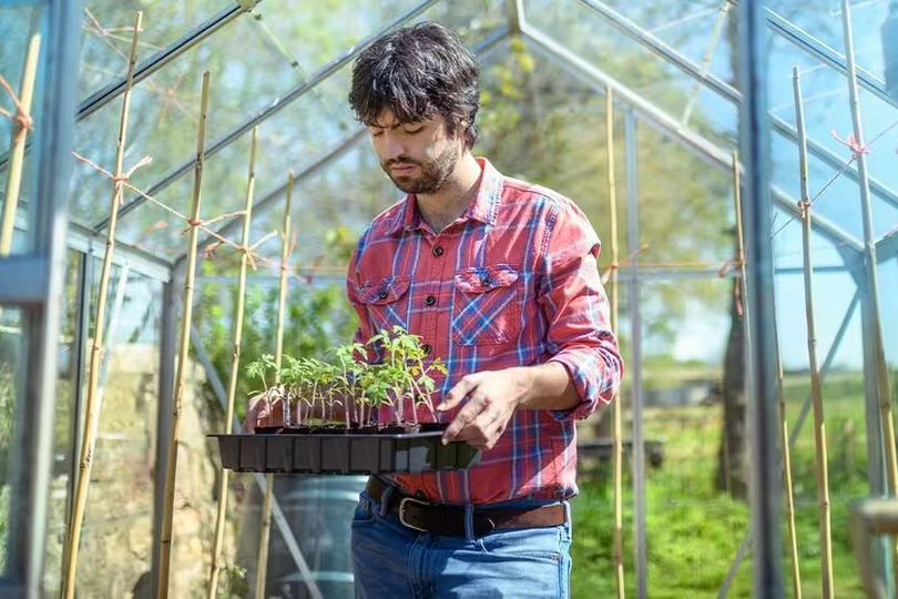 Three easy ways to cut back on gardening costs this Spring Three easy ways to cut back on gardening costs this Spring