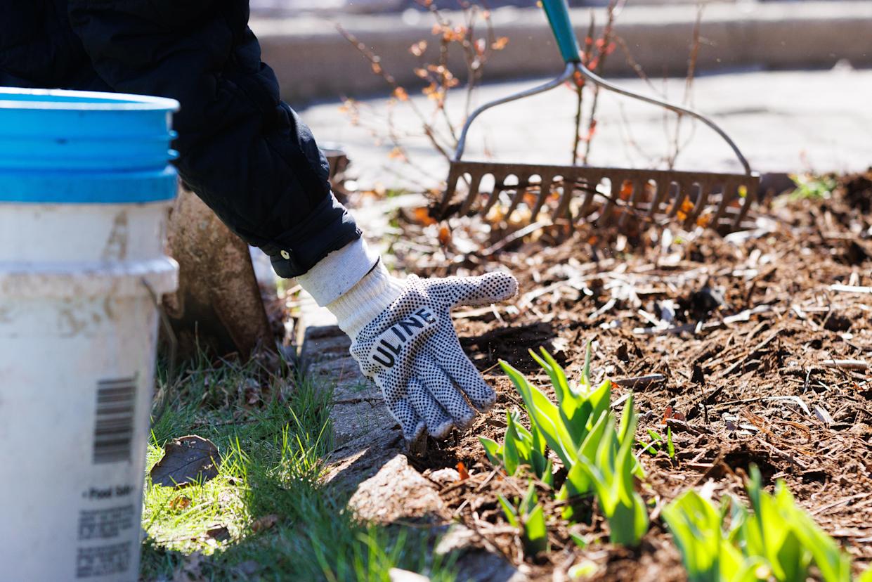 University of Notre Dame students spread mulch in a garden bed of a home on Portage Avenue on Saturday, March 28, 2026, in South Bend. "Mulch Madness" is a volunteer-guided effort to lay mulch down at homes in the Near Northwest Neighborhood area for homeowners who may be concerned about the lead levels of the soil.