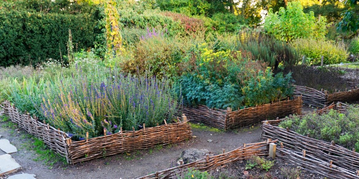 9 Easy DIY Raised Garden Bed Ideas for Beginners