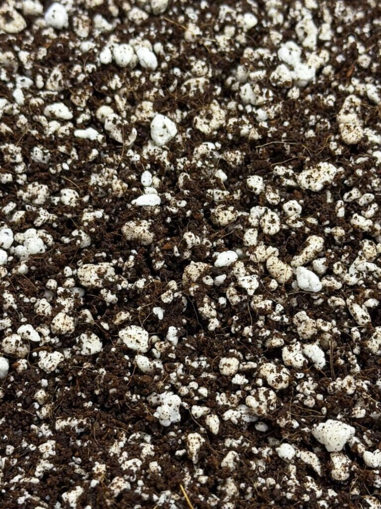 [Discussion] Soils & Substrates.