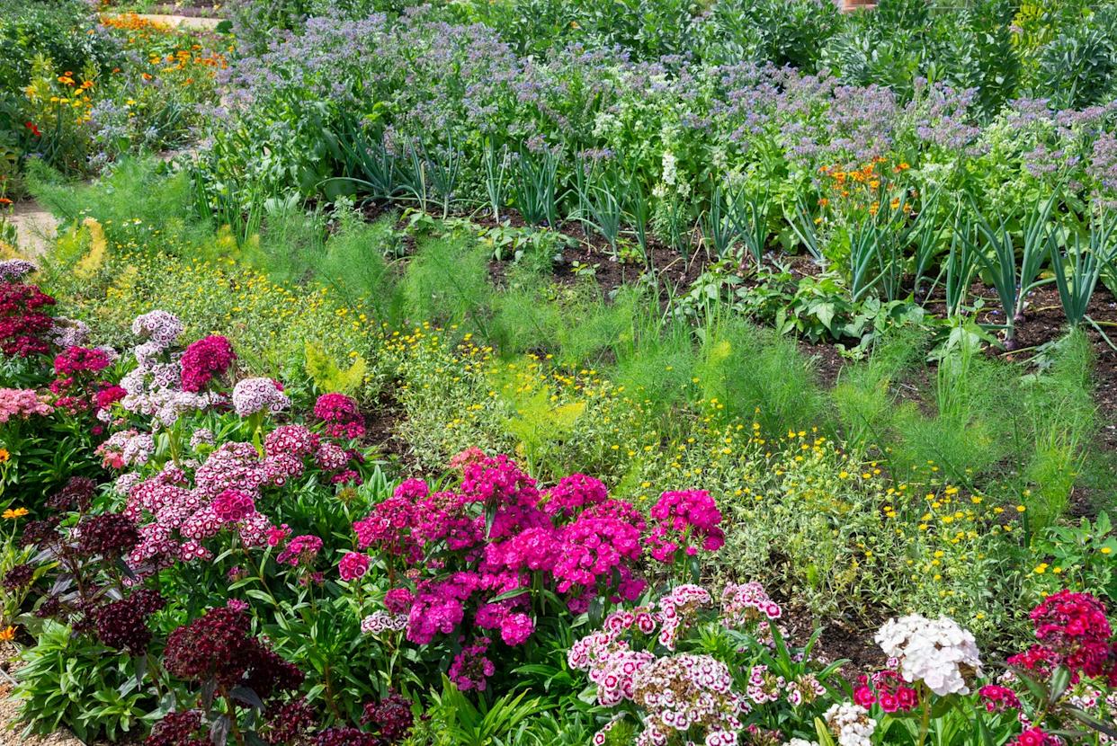 what not to waste money on in garden