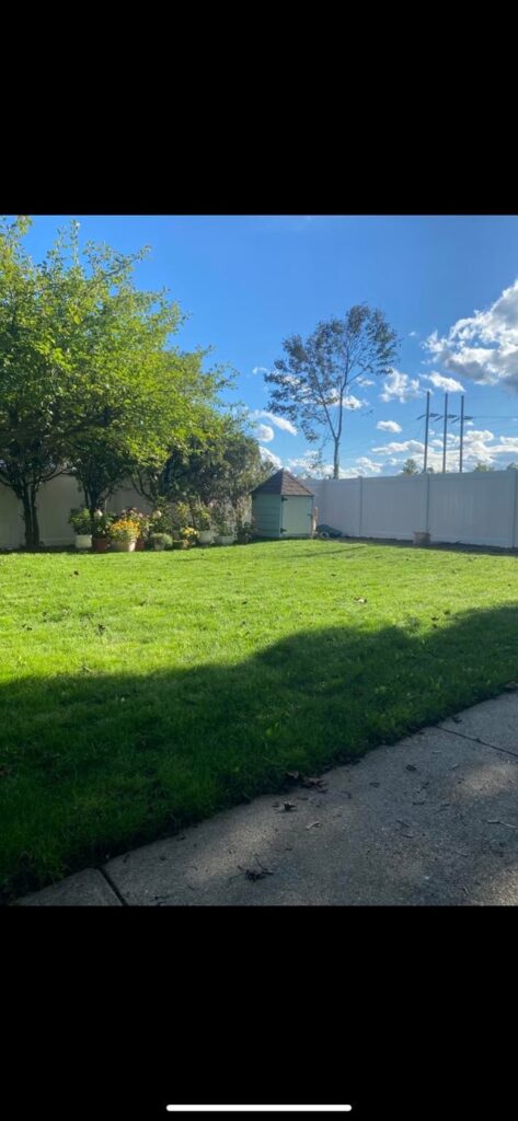 2 year transformation in zone 6b