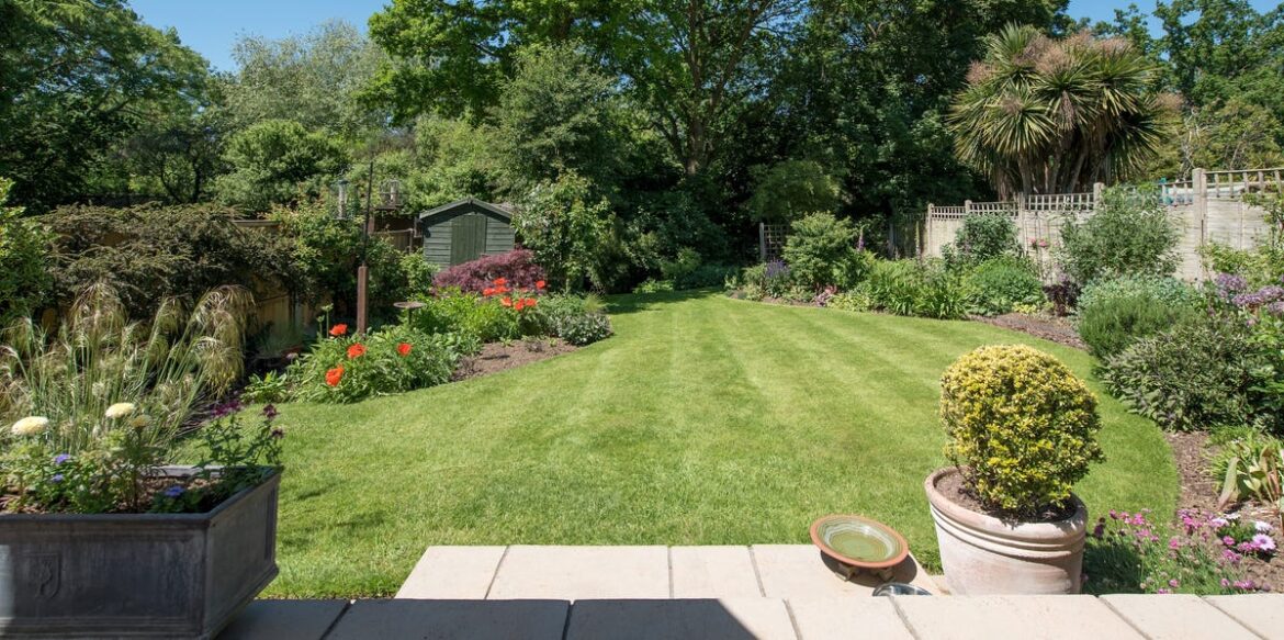 Shade, Kids or Dogs? How to Choose the Right Lawn for Your Garden Shade, Kids or Dogs? How to Choose the Right Lawn for Your Garden