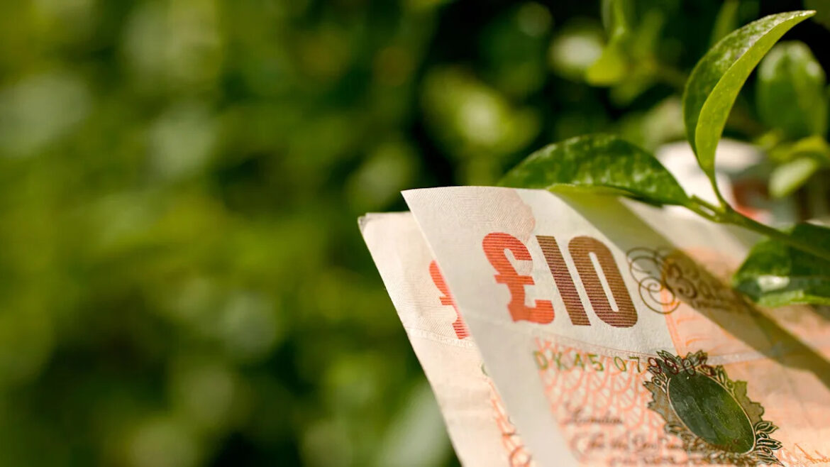 Money-saving tips for the thrifty gardener Money-saving tips for the thrifty gardener
