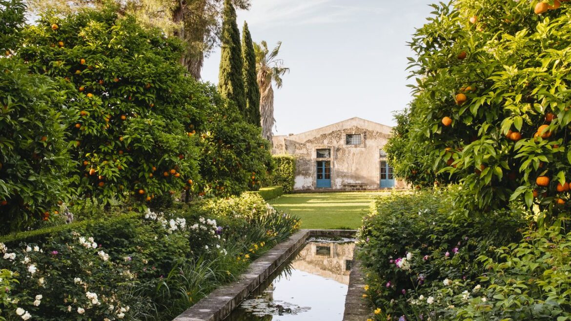The inextricable link between gardening and happiness The inextricable link between gardening and happiness