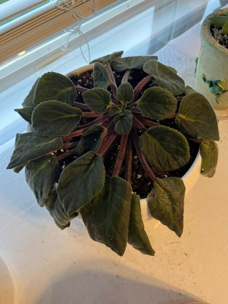 Help!