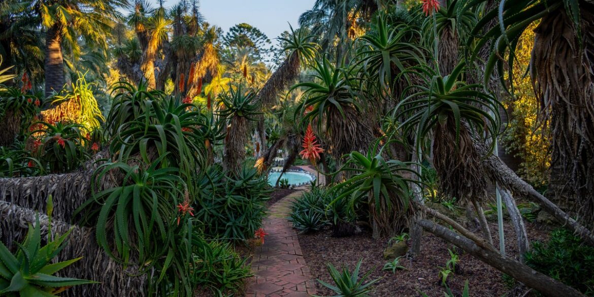 All About Madame Ganna Walska’s Lotusland Gardens in Montecito, California All About Madame Ganna Walska's Lotusland Gardens in Montecito, California