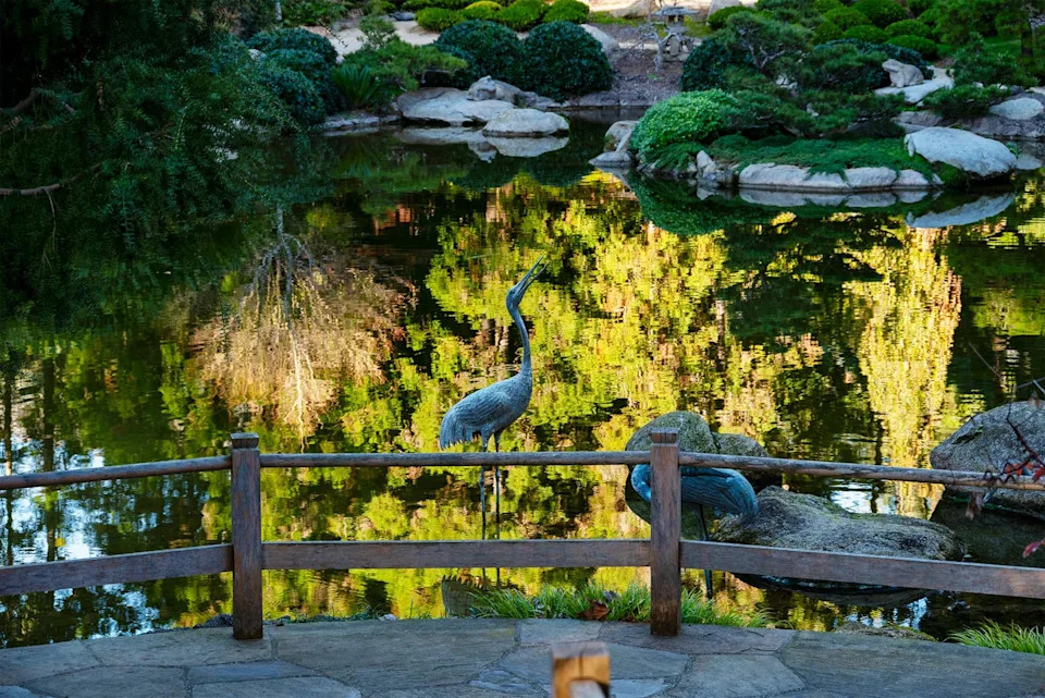 Photo credit: Lisa Eisner