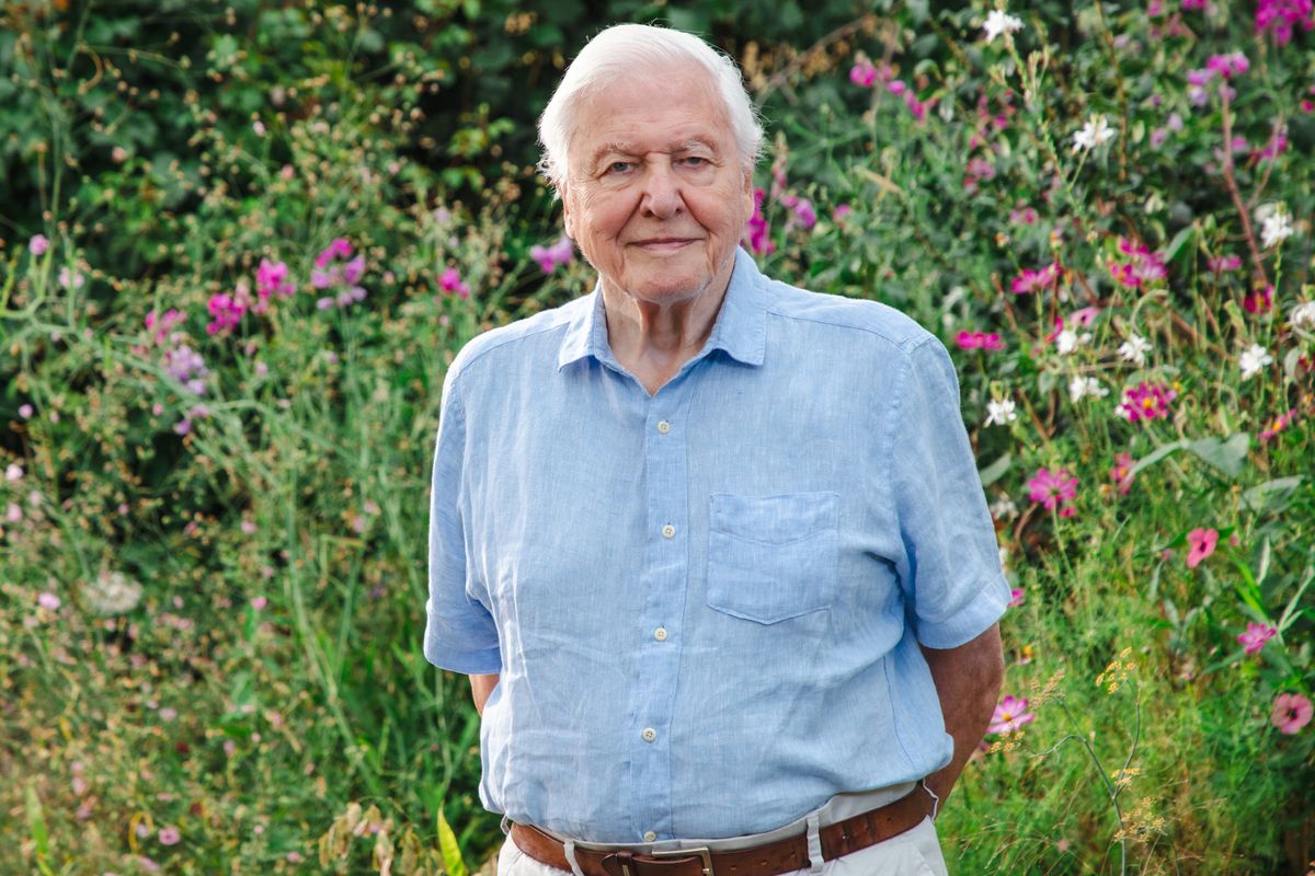 Sir David Attenborough