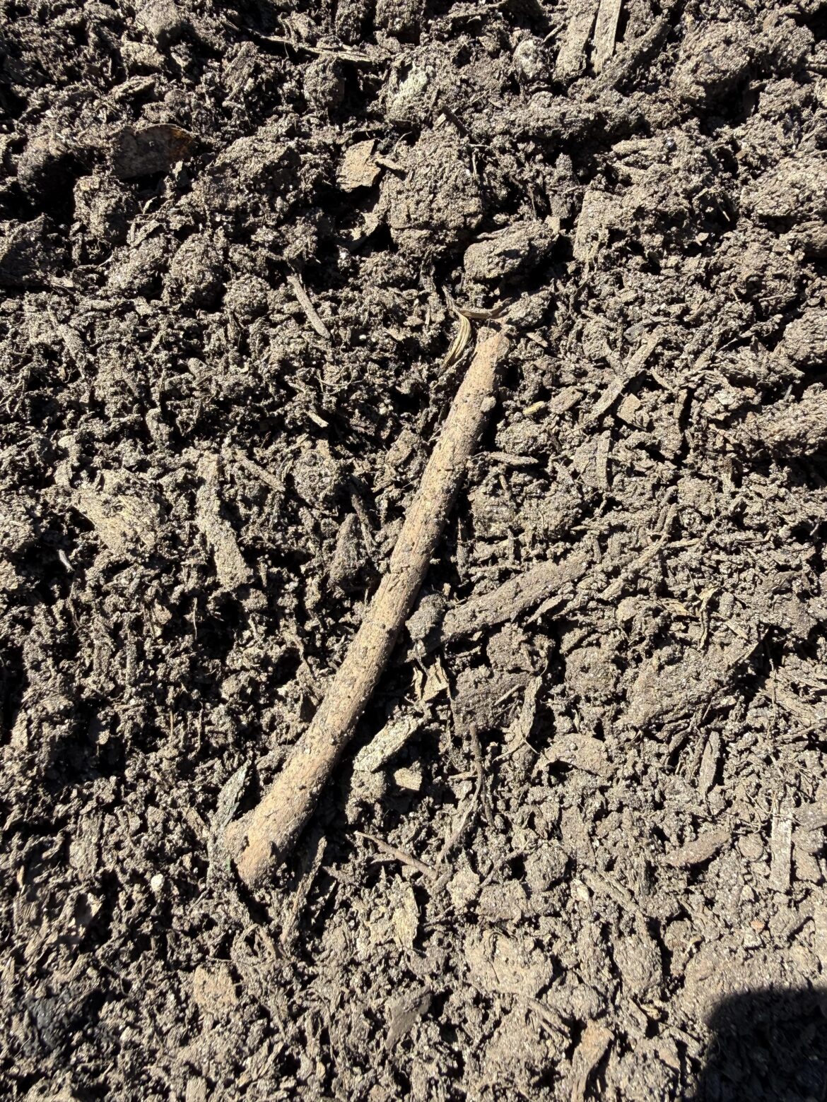 Question about delivered compost