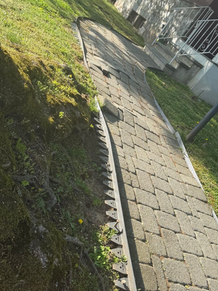 What can we do to fix the pavers without killing the tree?