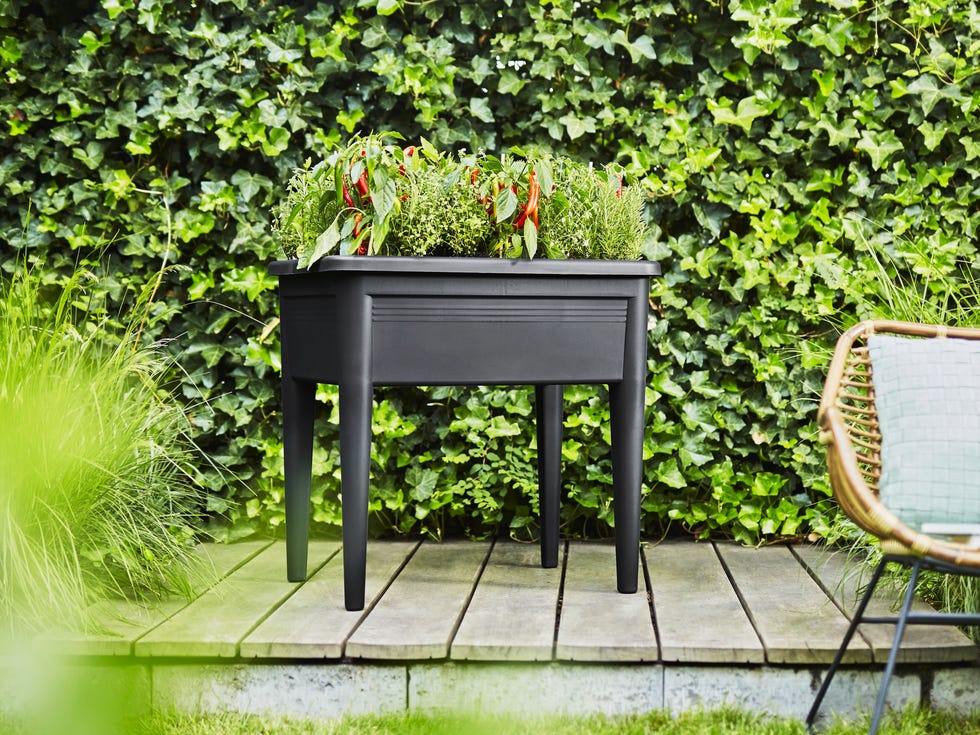raised garden bed with herbs and peppers in a garden setting