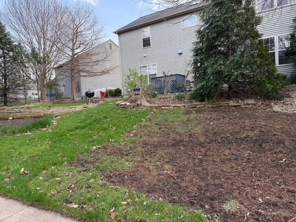 How do I “blend” other ground cover to grass in this giant back yard? How do I "blend" other ground cover to grass in this giant back yard?