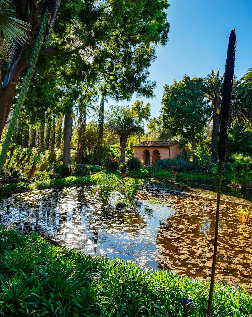 Photo credit: Lisa Eisner