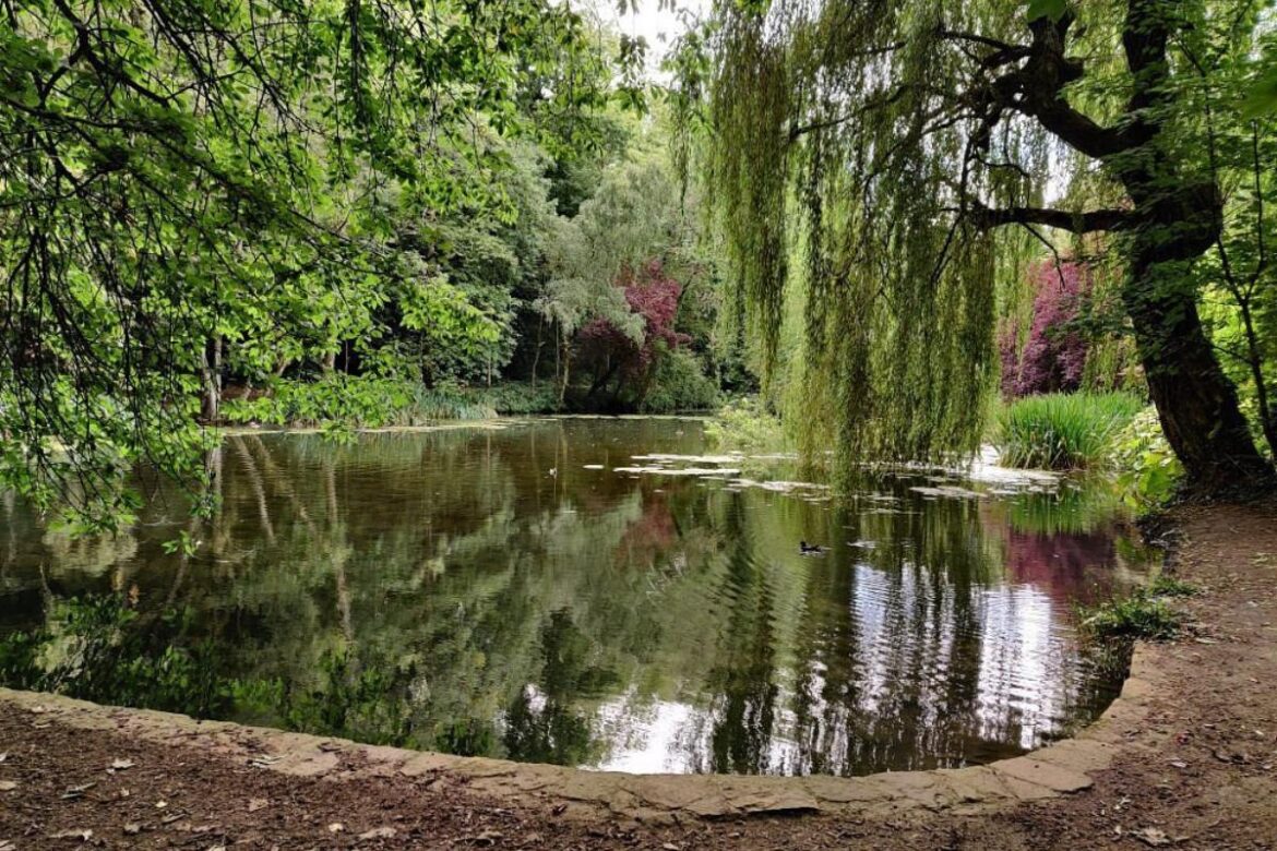 'Fairytale' wild garden in Oxfordshire you don't need a National Trust membership for