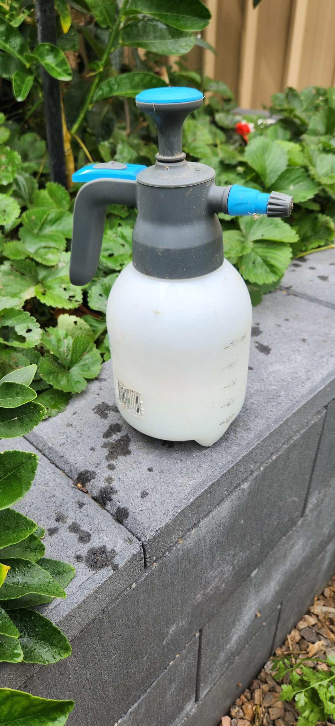 Has anyone had a pressure sprayer last for more than a few months? Please suggest a brand. I often forget to de-pressure after use, but I'm sure I'm not the only one. I'm happy to spend a fair bit of money on one that'll last. Needs a fine mist as I mostly use it for spraying Eco-oil. Thanks!