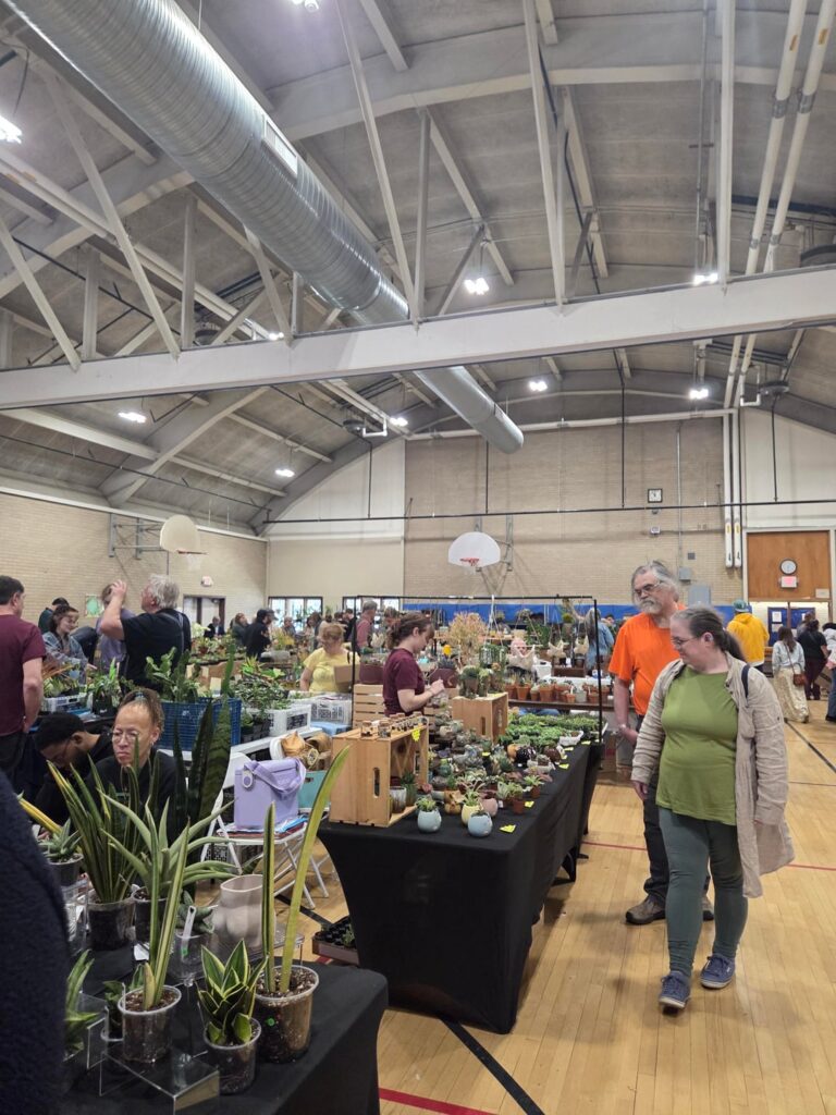 Went to my first succulent/cactus show!