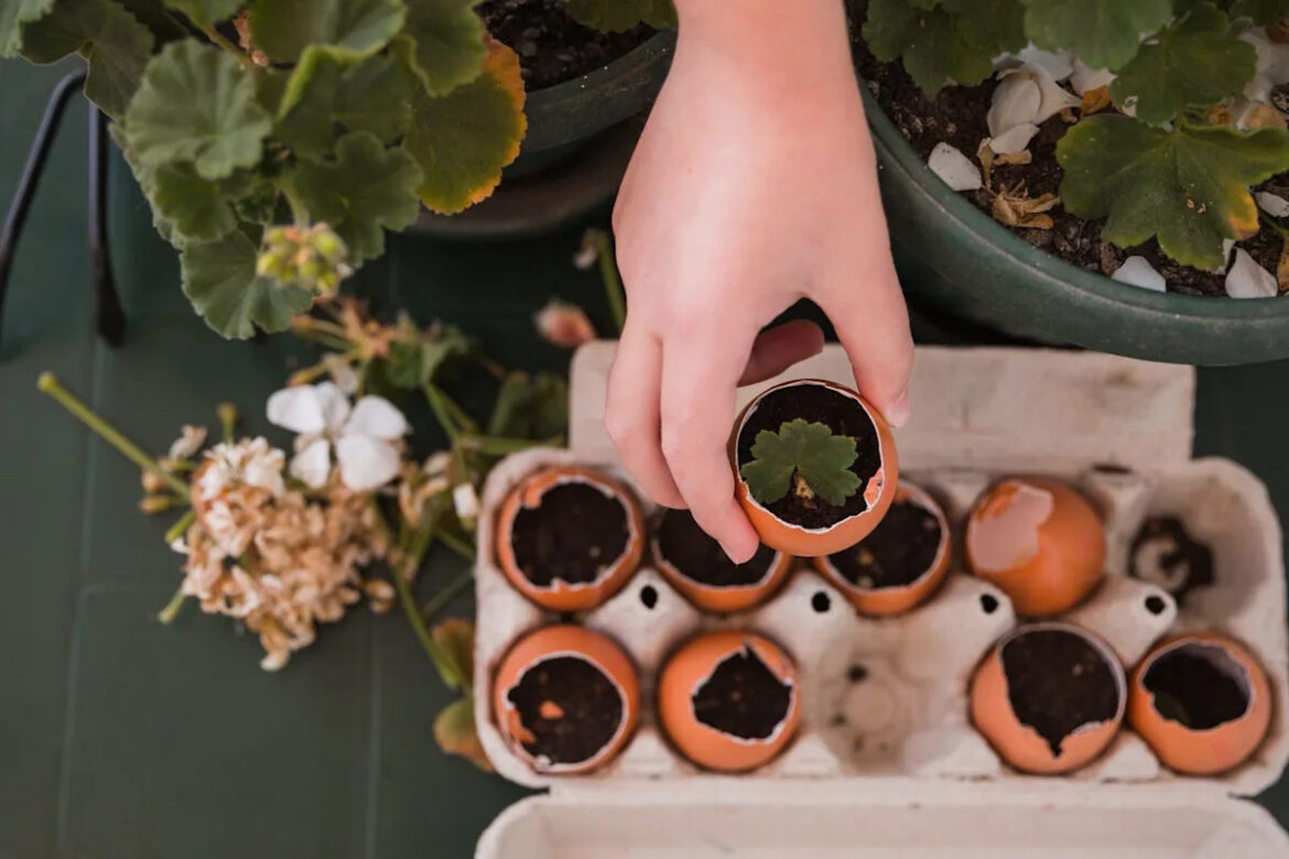 5 Retro Gardening Hacks That Still Work—From Eggshell Planters to Coffee Grounds
