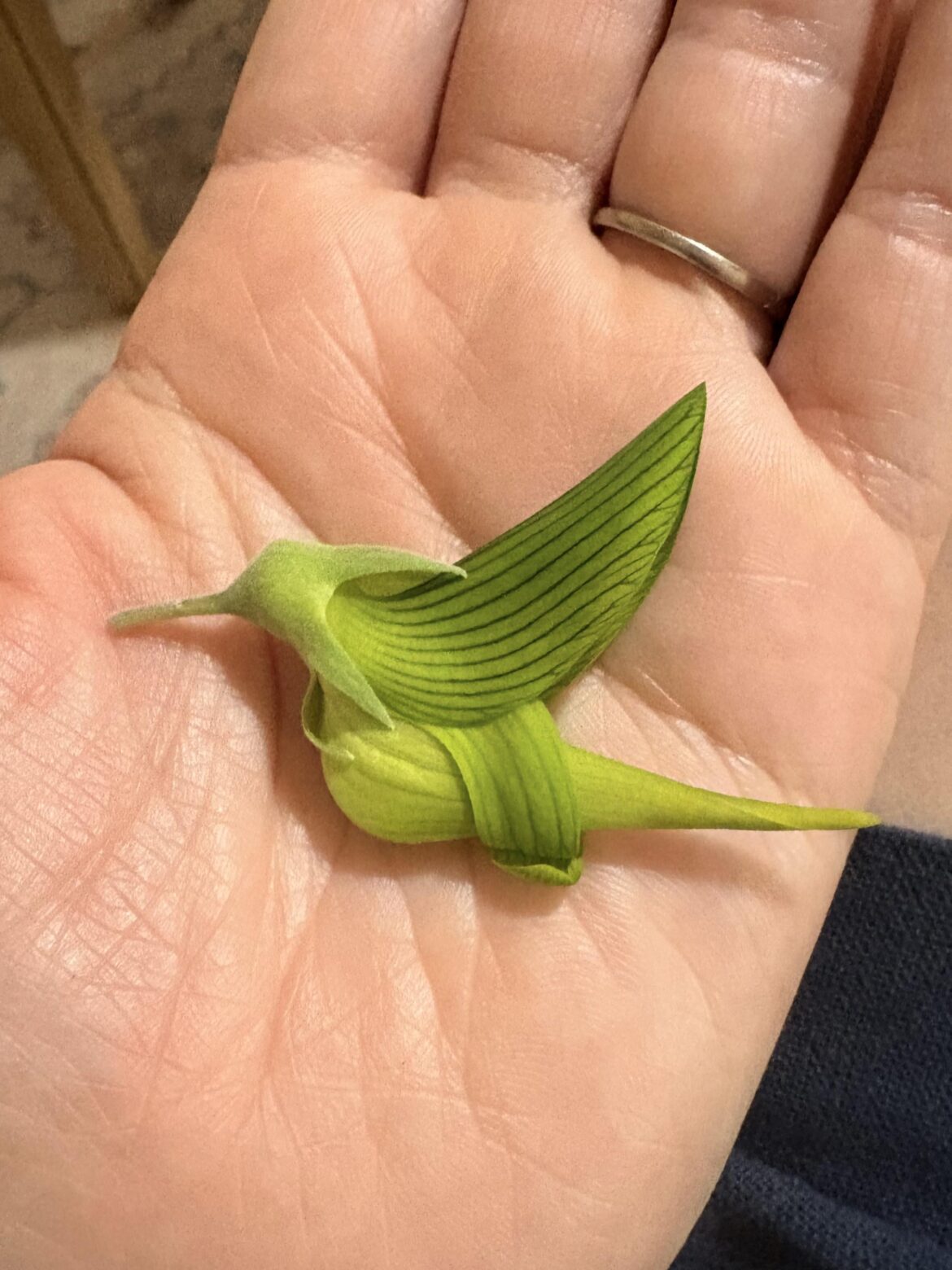 Green Birdflower