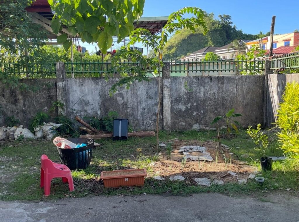 Pictures of my garden bed 23 days apart!