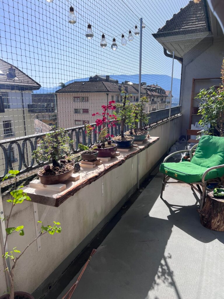 Cypress Workbench for my Balcony