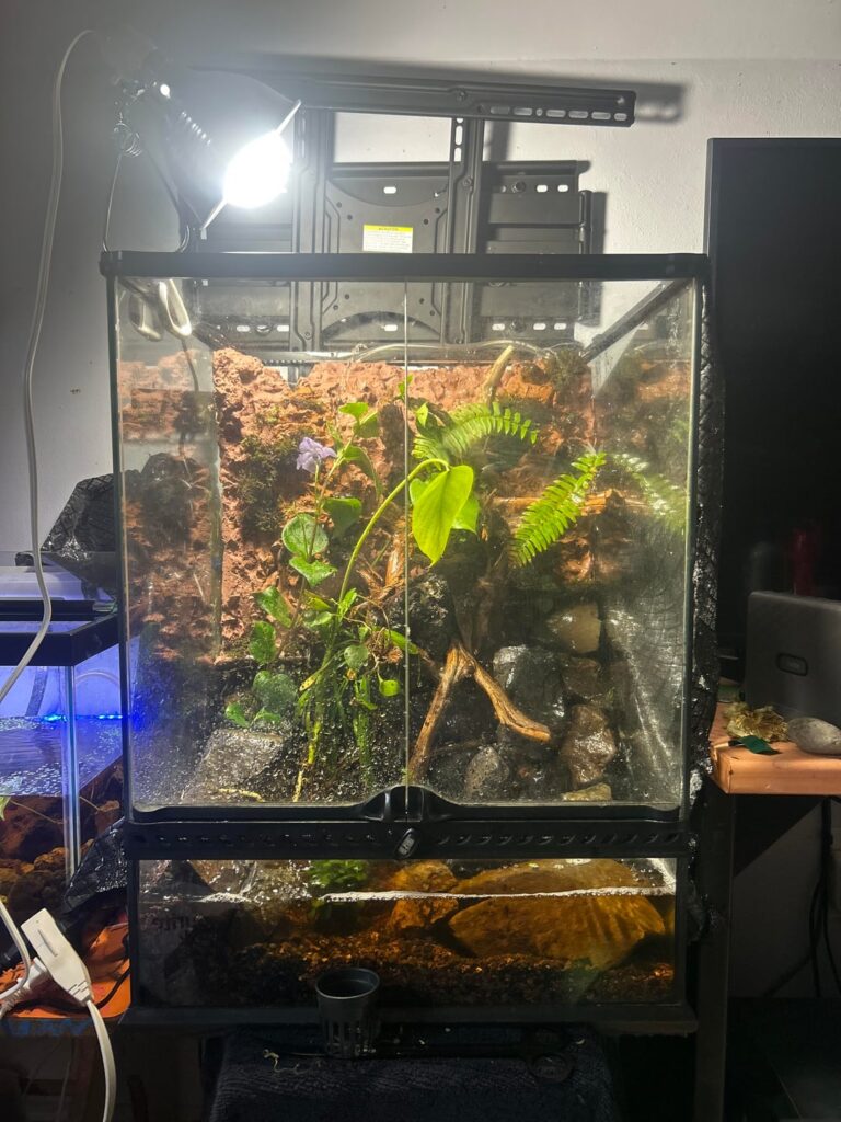 First solid setup