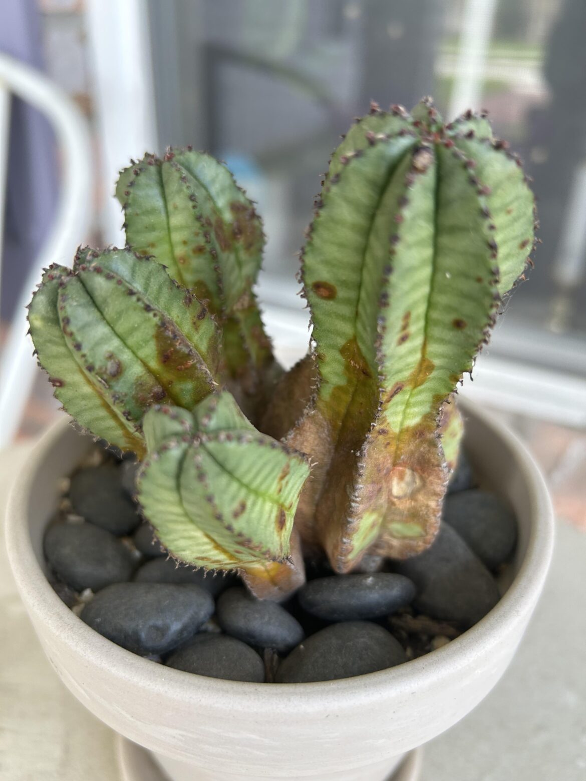 Any ideas to save?