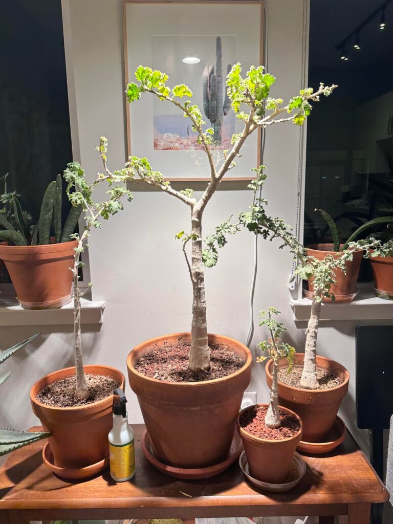 T-minus 1 month until they can go outside for the summer