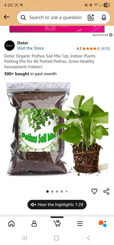 Would these be good for pothos?