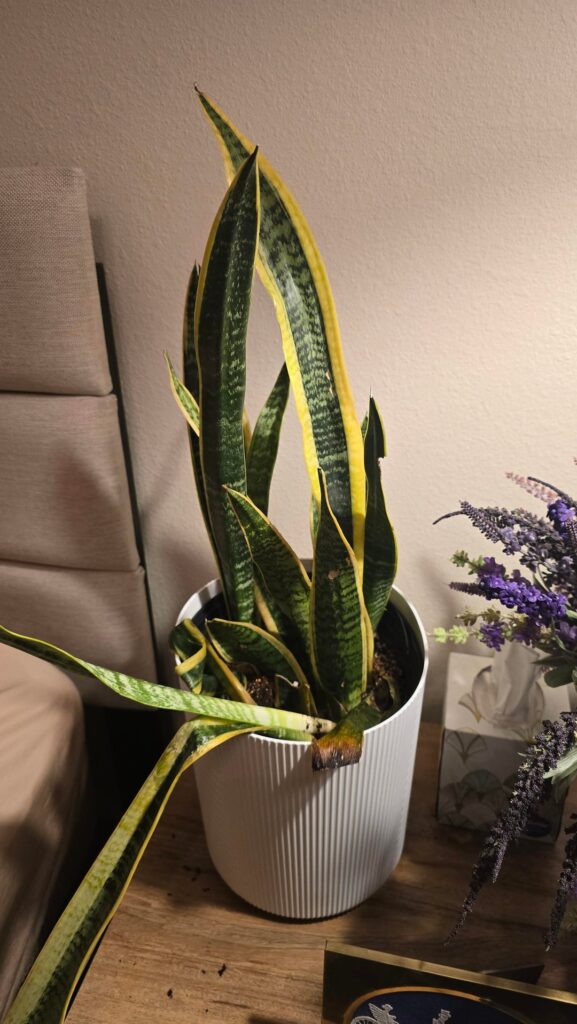 What am I doing wrong?!