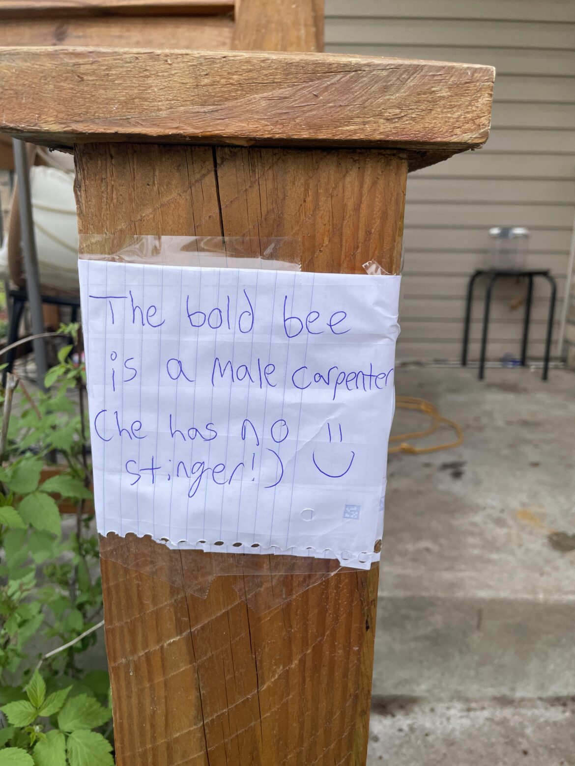 Update on the “Guard Bee” situation