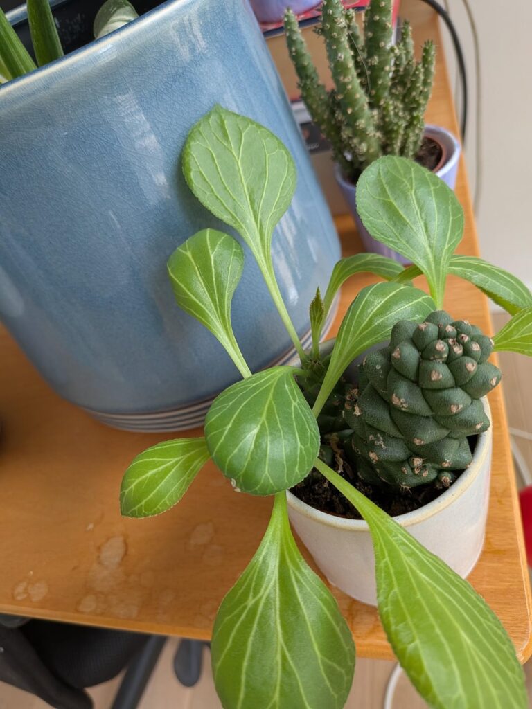 What on earth is happening here? What on earth is happening here?