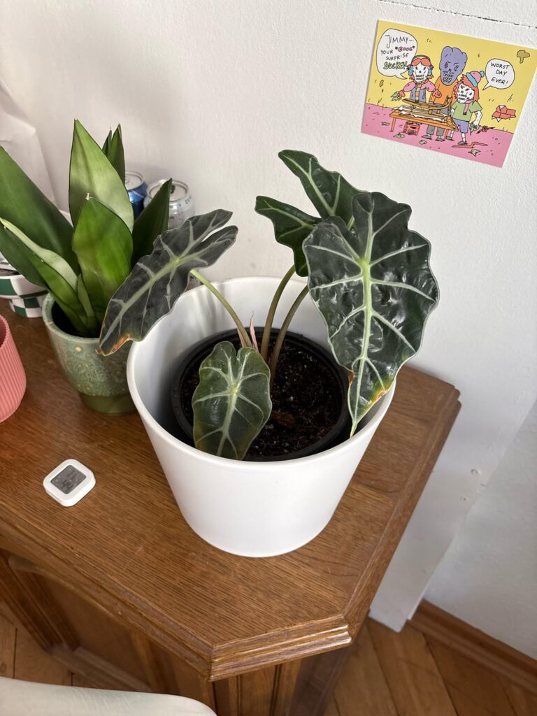 Need some advice, we are struggling :o Need some advice, we are struggling :o