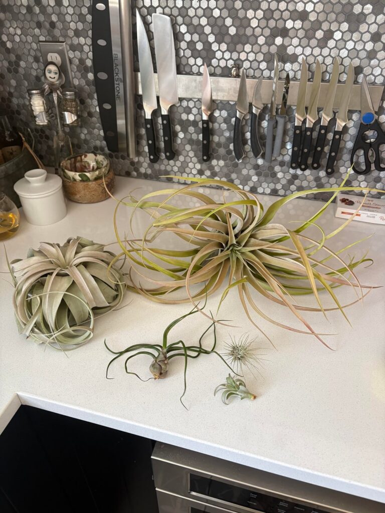 New friends!