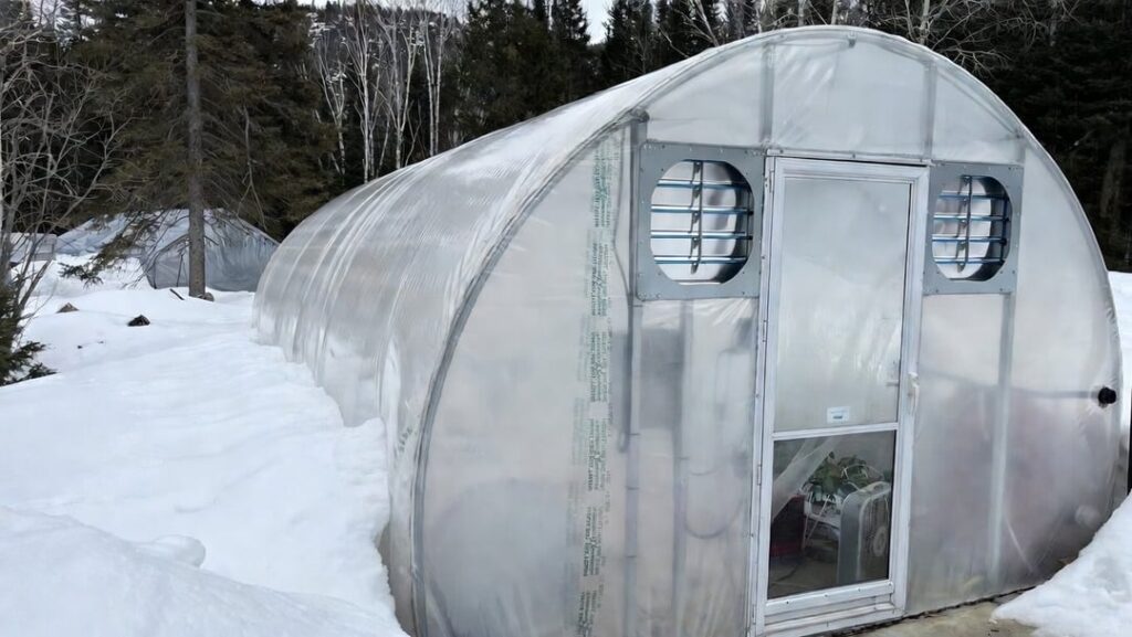Pepper Greenhouse - Just Transplanted!