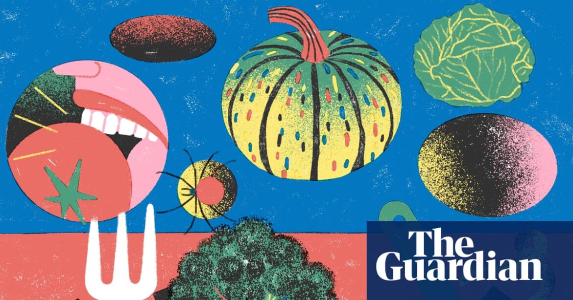 Start small, grow what you like and be realistic: how to start a vegetable garden | Well actually Start small, grow what you like and be realistic: how to start a vegetable garden | Well actually