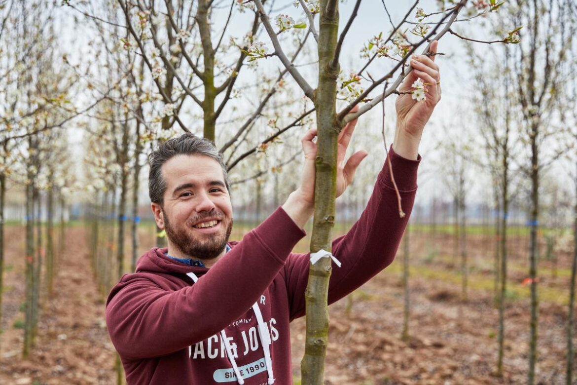 Plant nursery encourages gardeners to plant bird-friendly hedges Plant nursery encourages gardeners to plant bird-friendly hedges