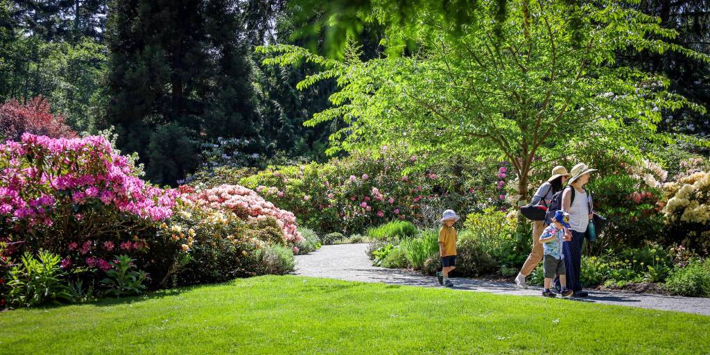 Meerkerk Garden bursts into spring bloom Photos provided. This spring, garden staff are working on a wave of new projects aimed at deepening the visitor experience.