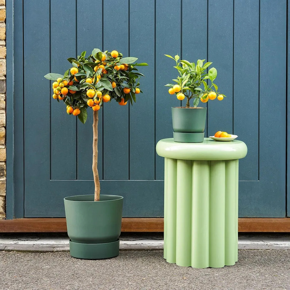 15 buys to transform your garden in a weekend